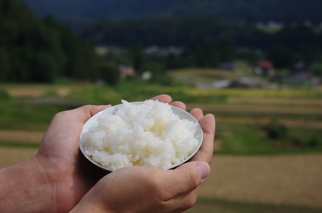 一等米の魚沼産コシヒカリを産地直送で！メリットは？